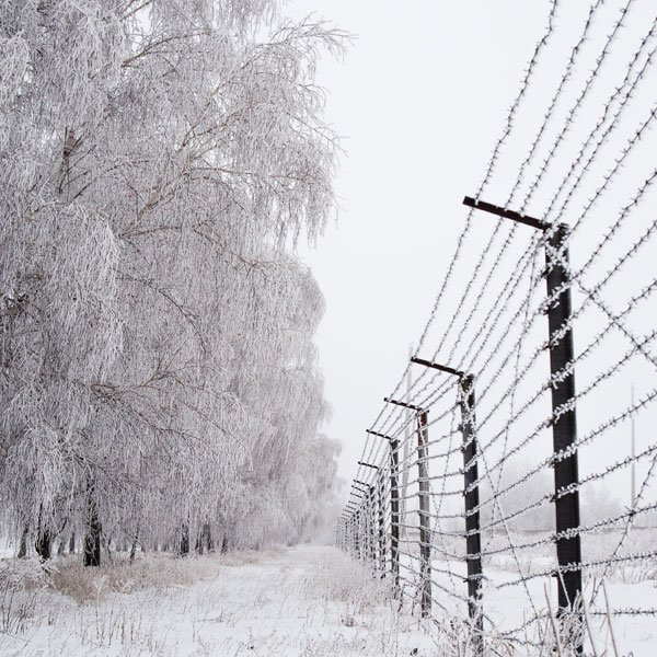 Barbed Fences