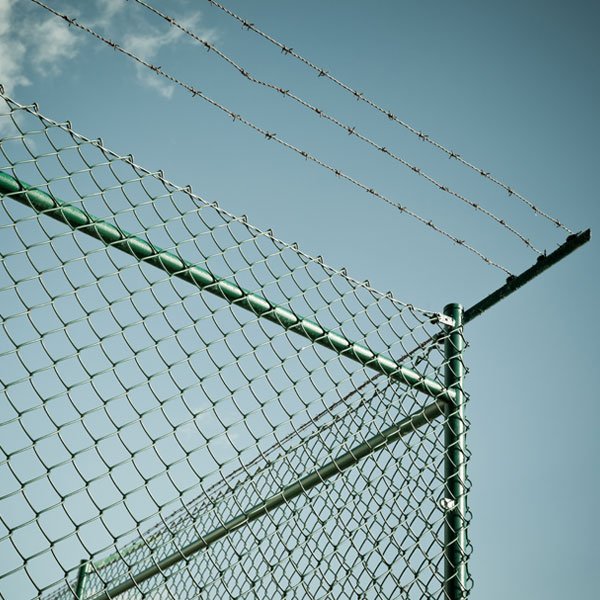 Barbed Fences