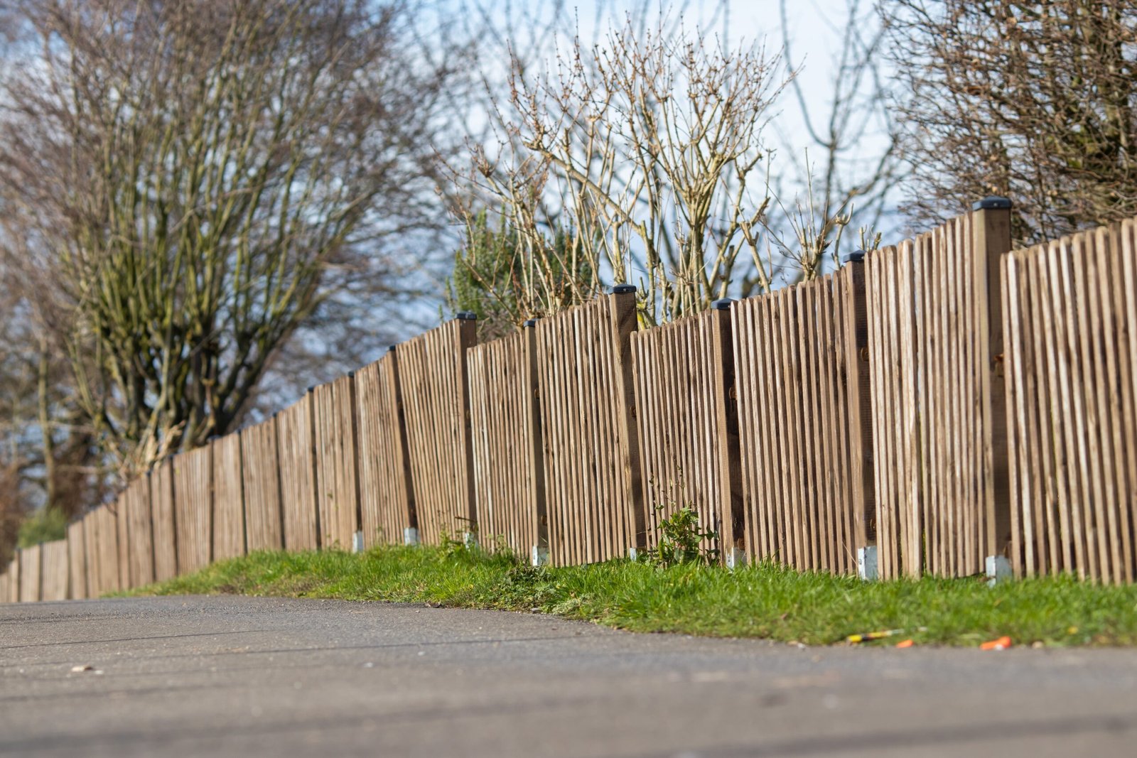 Wood Fence