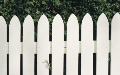 Wooden Fences for Lasting Beauty and Privacy