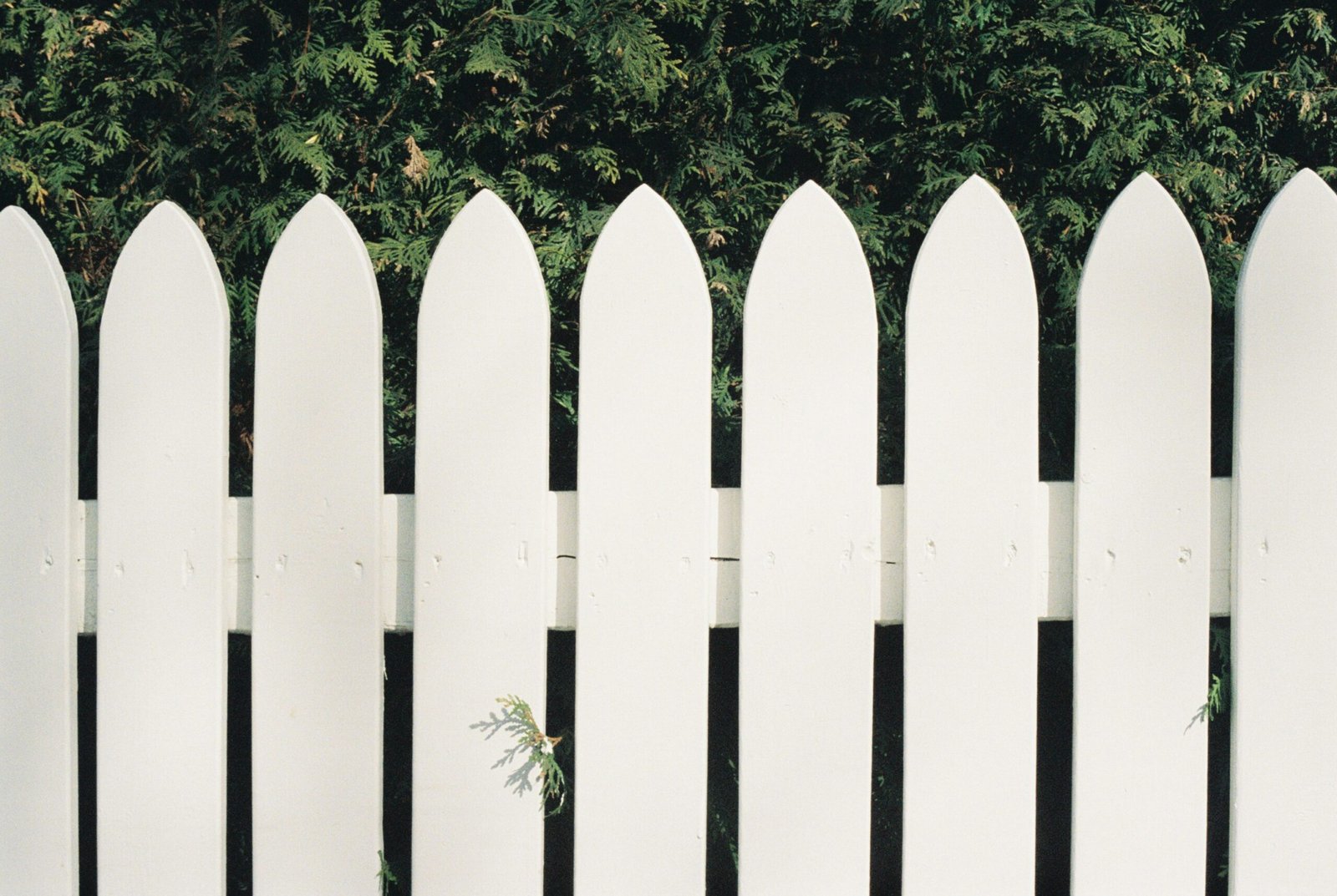 Wooden Fence