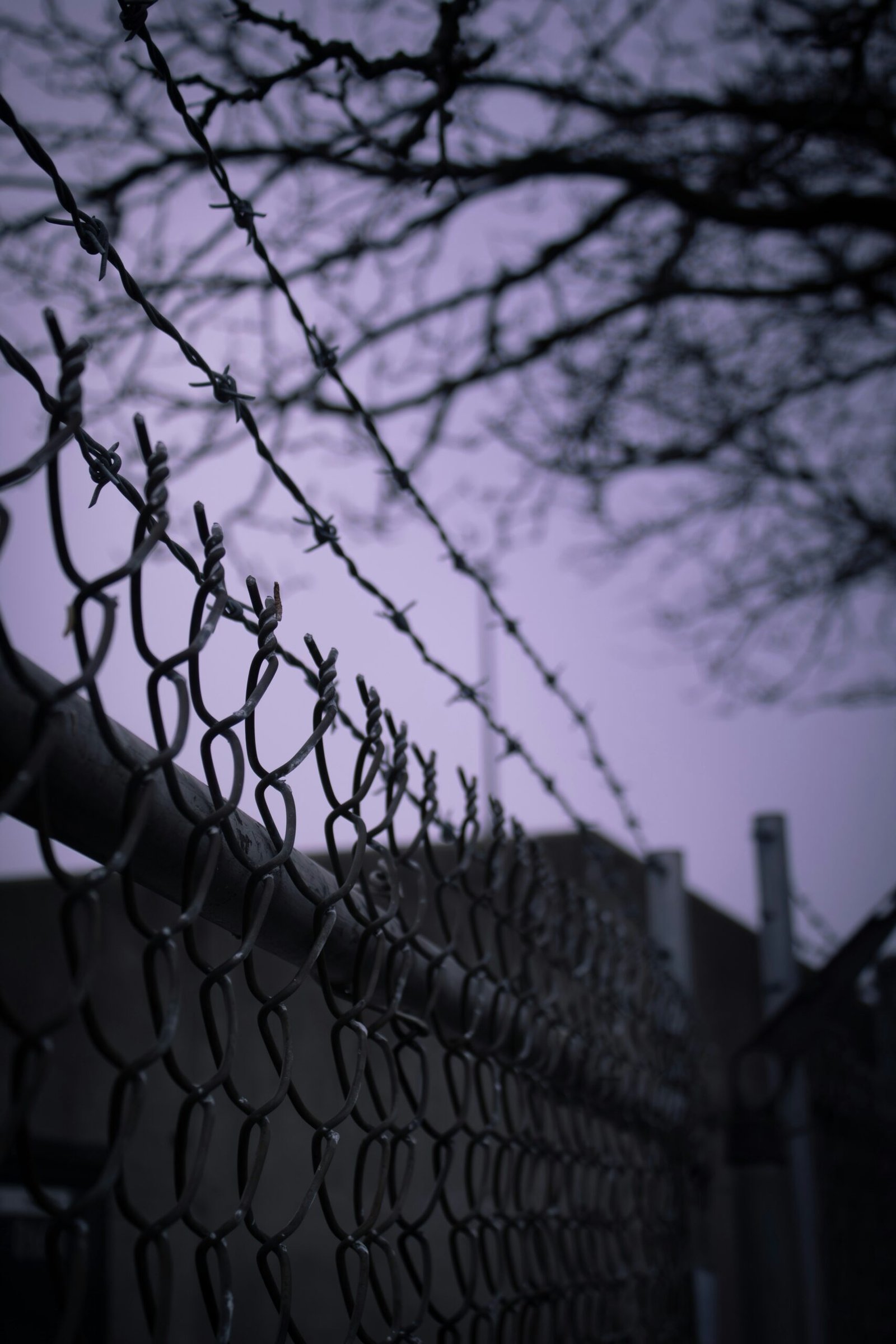Chainlink Fence