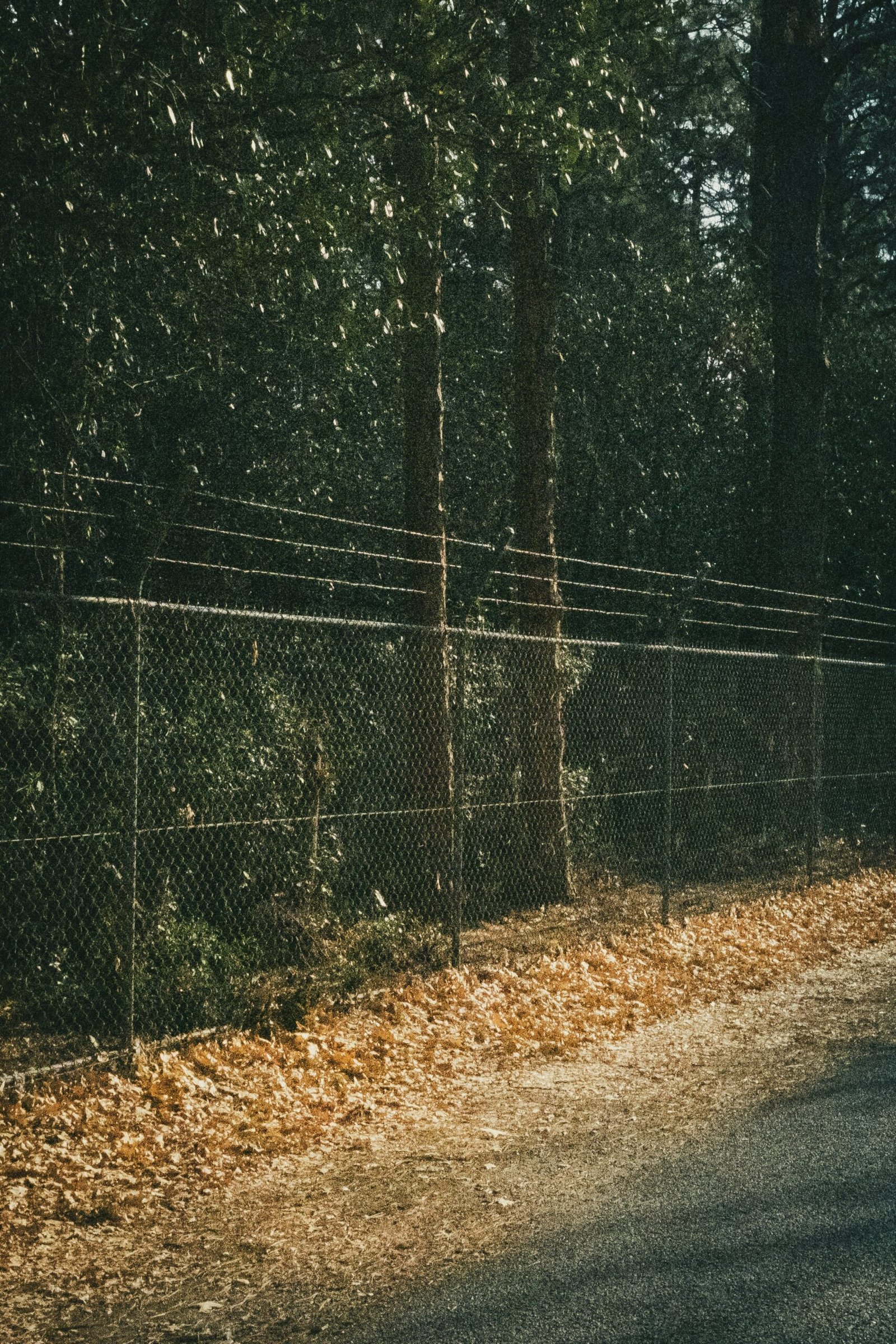 Aluminum Fence