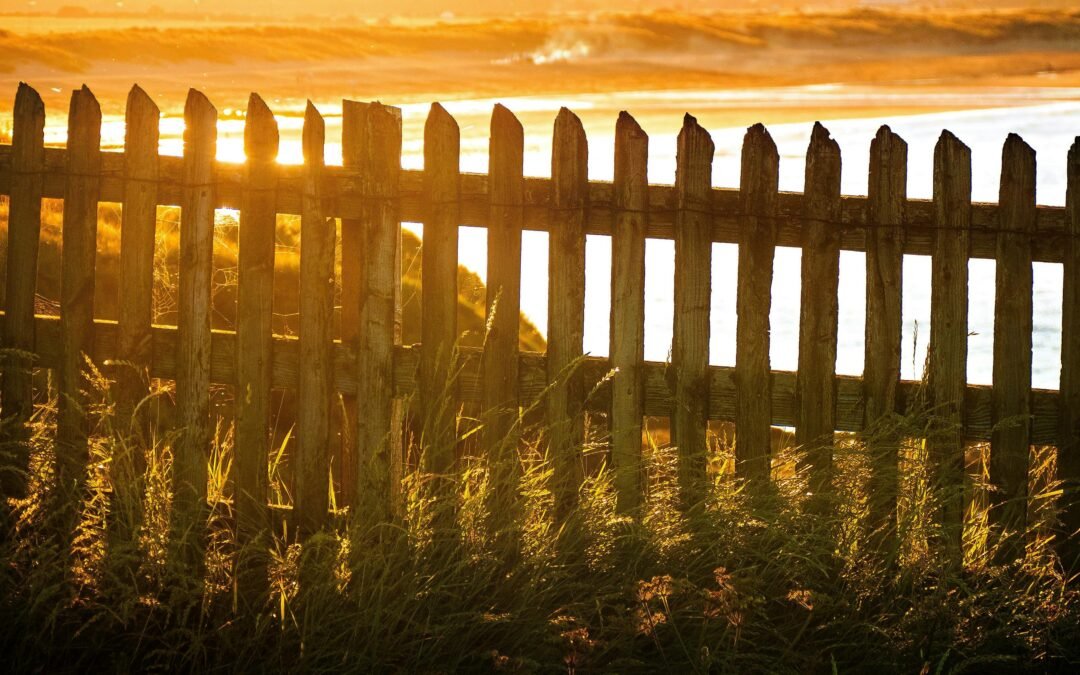 How to Choose the Right Fence for Your Property