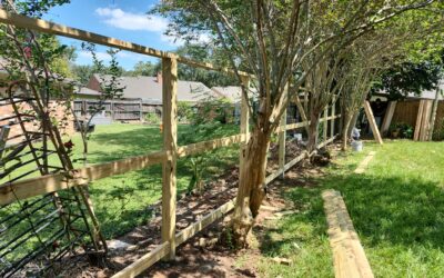 How to Choose the Right Fence for Your Needs: Privacy, Security, Curb Appeal & Budget