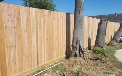 5 Signs It’s Time to Repair or Replace Your Wood Fence (And What to Do Next)