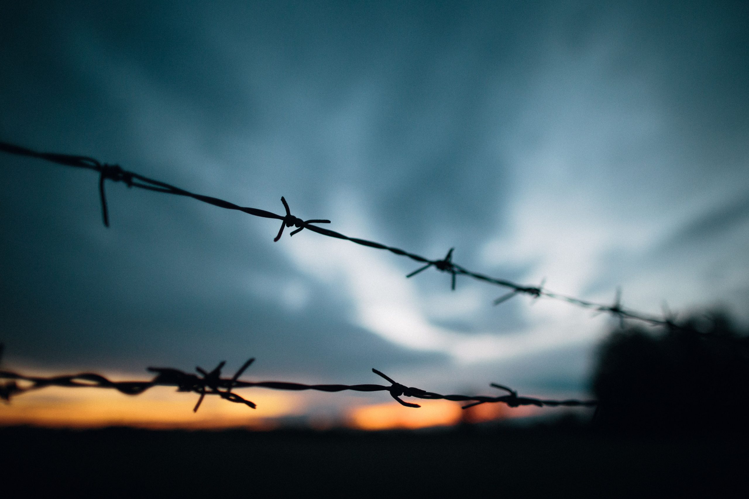Security fencing