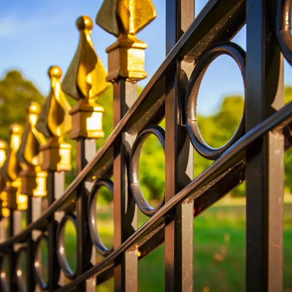 Iron fence