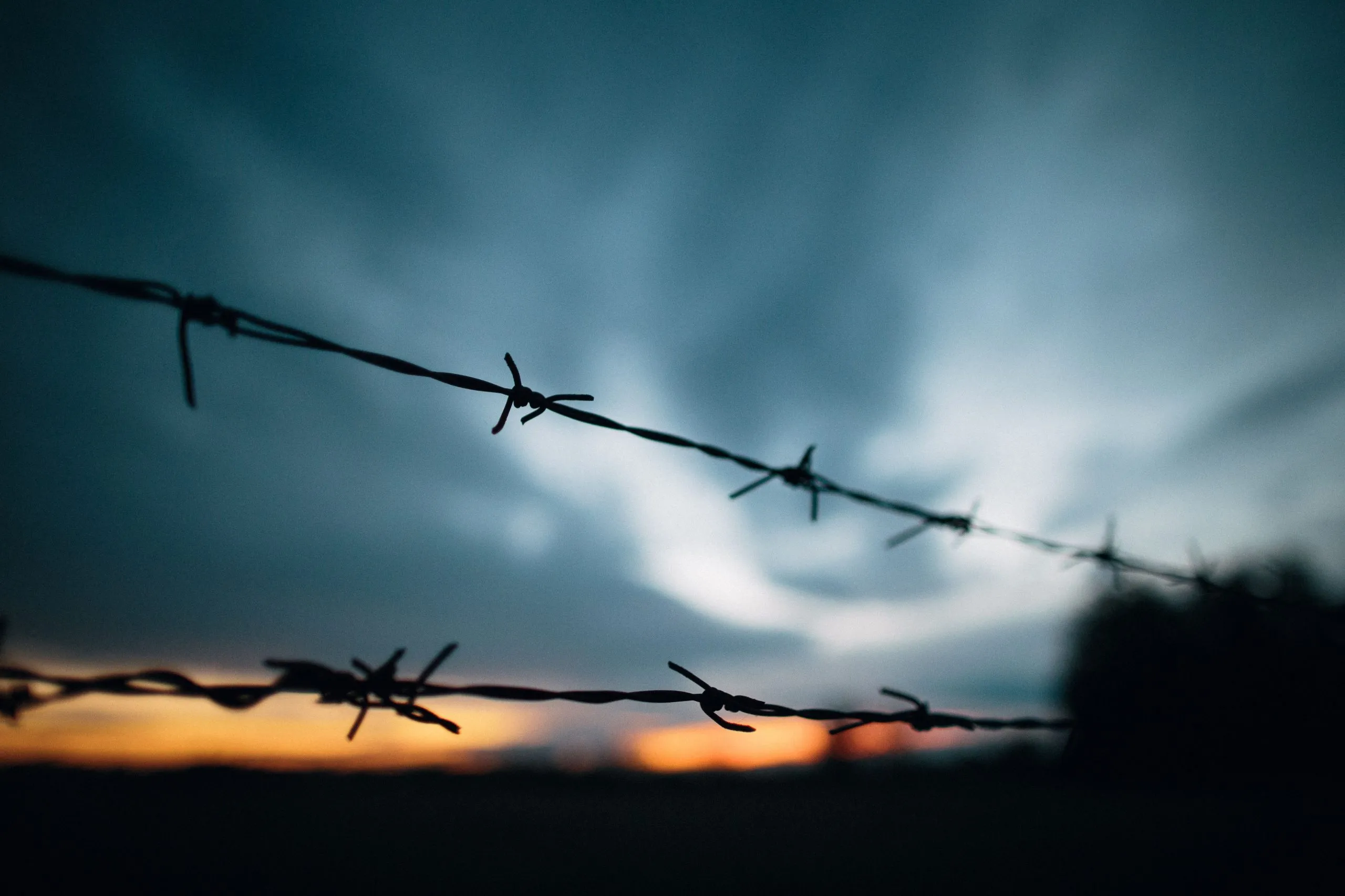 Security fencing